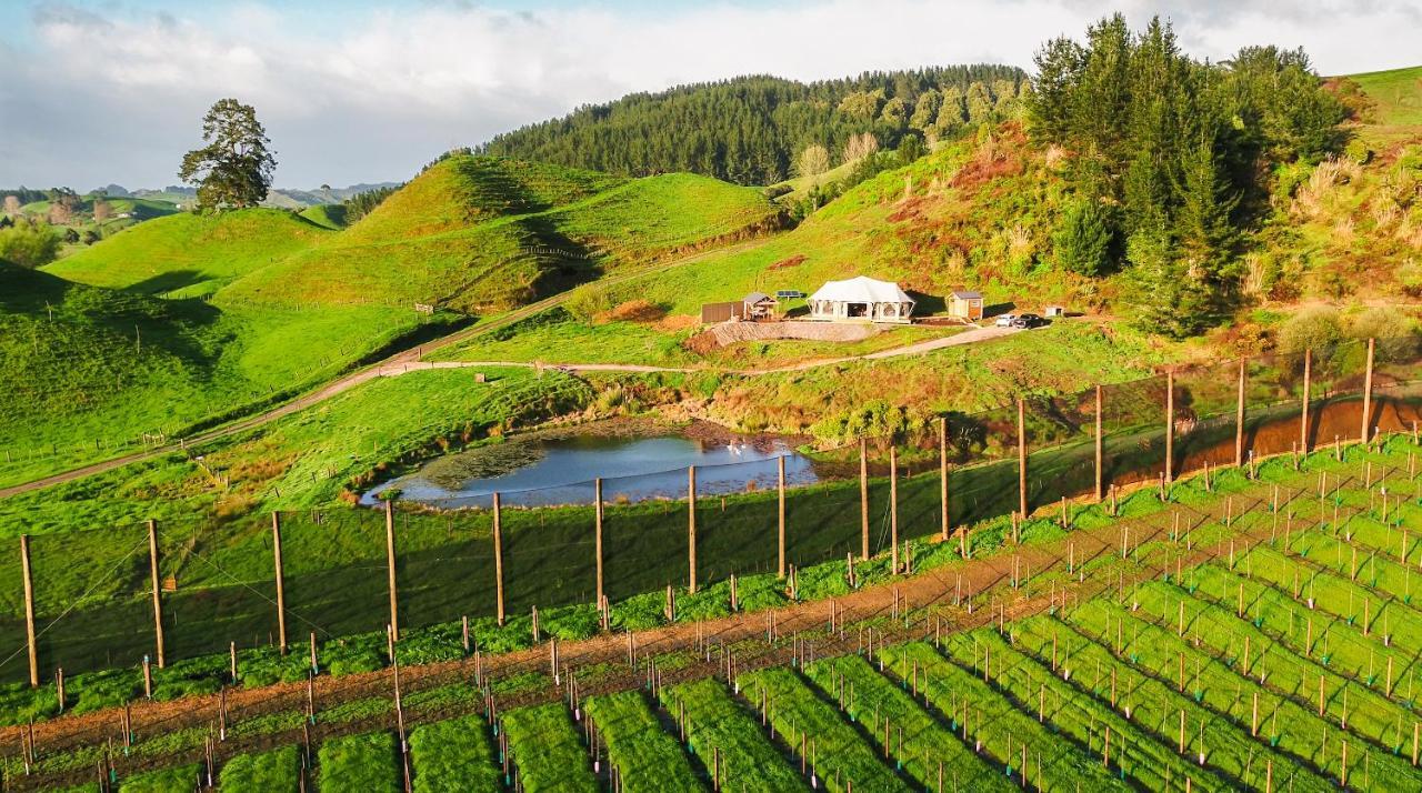 Orchard Valley Glamping Otorohanga Exteriér fotografie