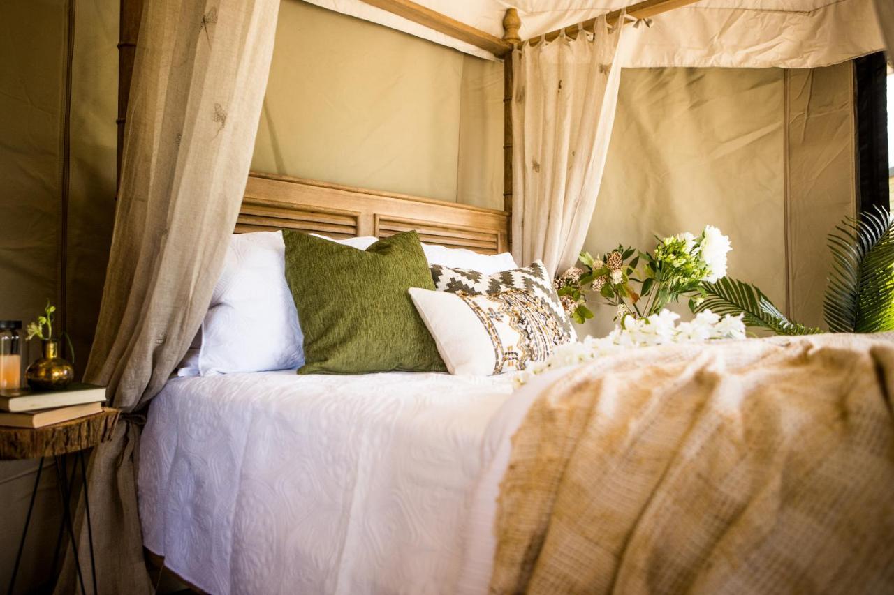 Orchard Valley Glamping Otorohanga Exteriér fotografie