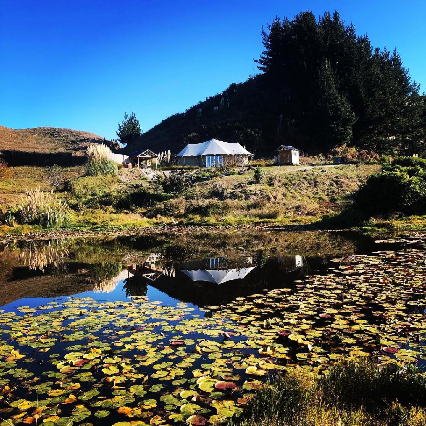 Orchard Valley Glamping Otorohanga Exteriér fotografie