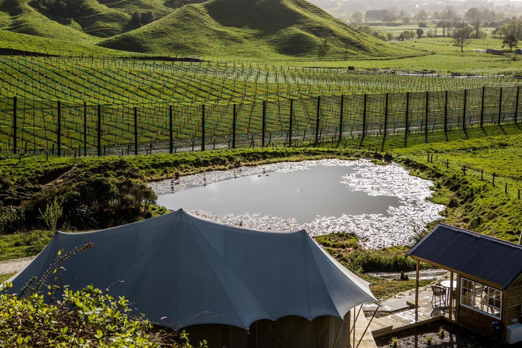 Orchard Valley Glamping Otorohanga Exteriér fotografie